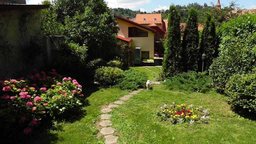 Doly House Villa Braşov Dış mekan fotoğraf